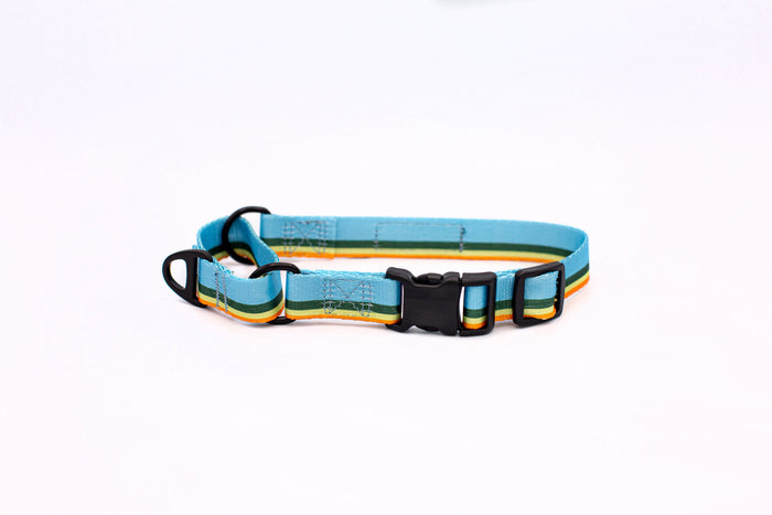 Collar martingale de nailon para perro, foto 2