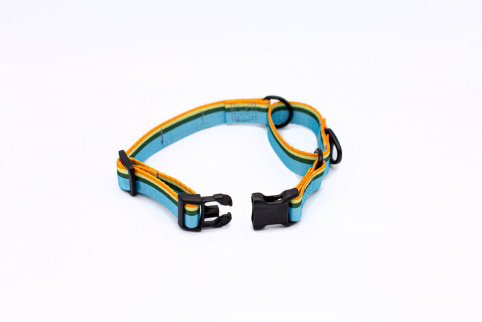 Collar martingale de nailon para perro, foto 4