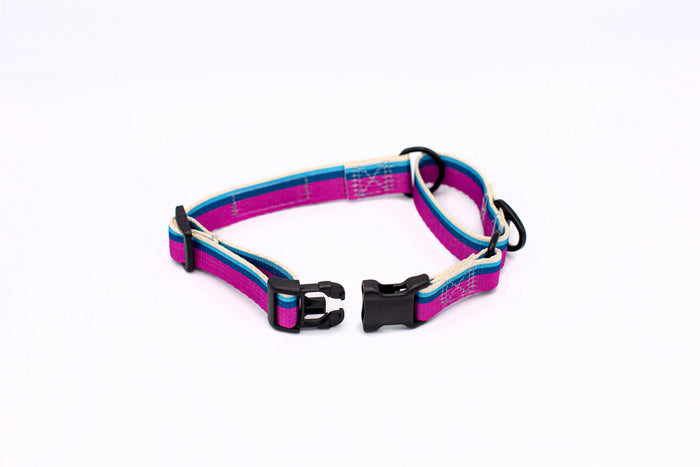 Collar martingale de nailon para perro, foto 5