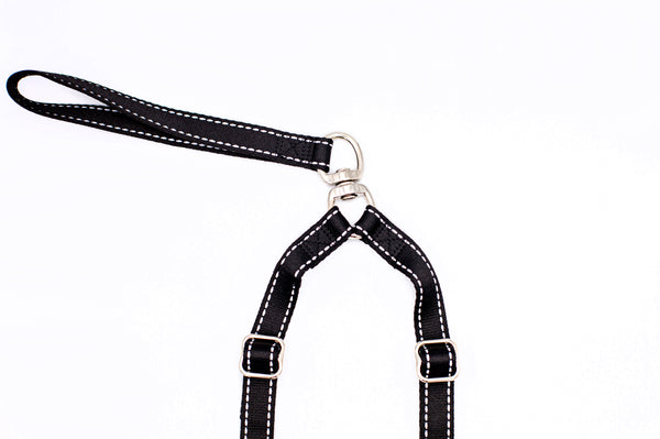 Reflective Nylon Double Dog Leash, photo 2