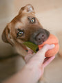 Peach Wool Dog and Cat Toy, photo 2