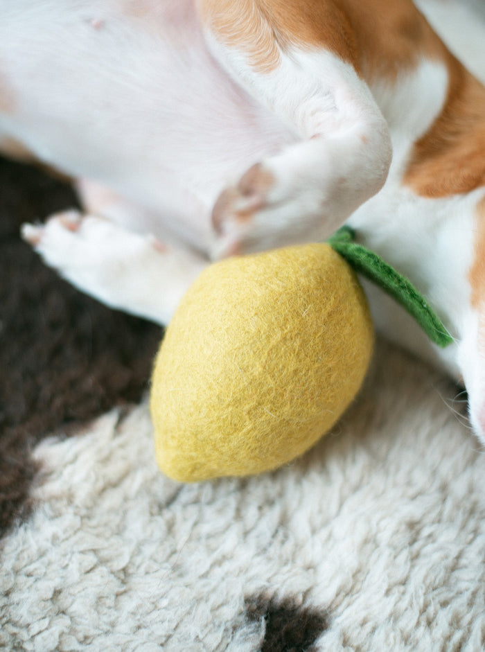 Juguete de lana para perro y gato Lemon, foto 2