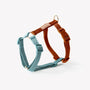 Blue and Clay strap dog harness