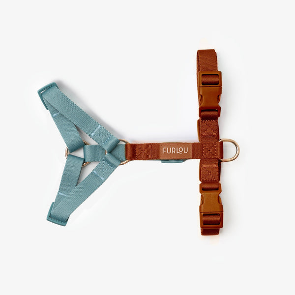 Blue and Clay strap dog harness laid flat