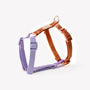 Lavender and Terracotta strap dog harness