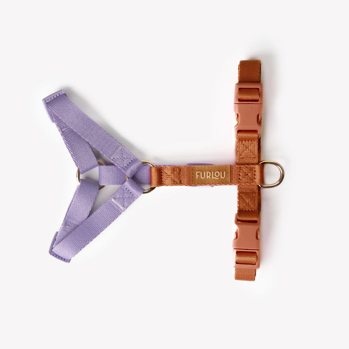 Lavender and Terracotta strap dog harness laid flat