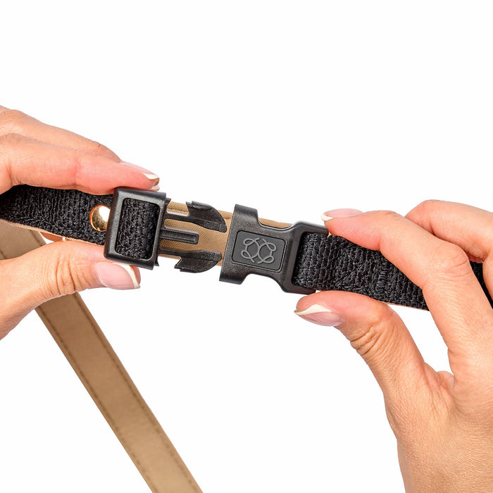 Crosby City Bungee Dog Leash, photo 7