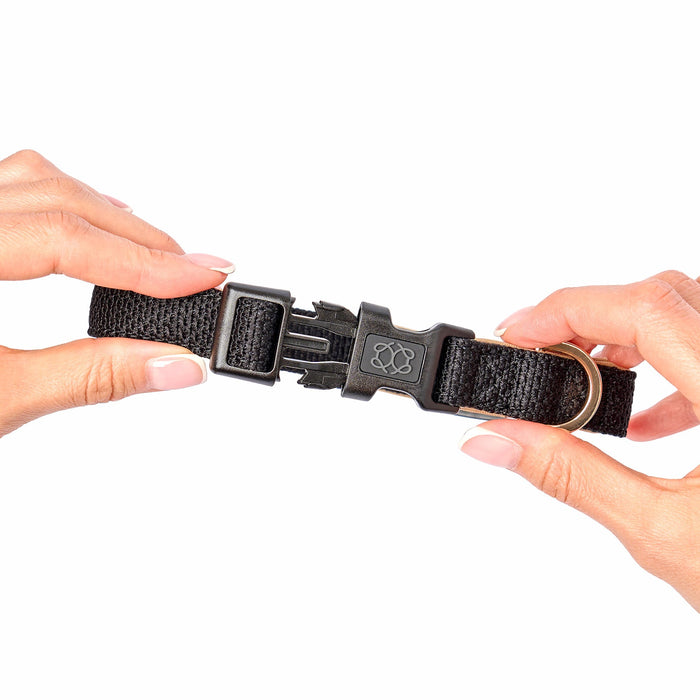 Crosby City Padded Dog Collar, photo 3