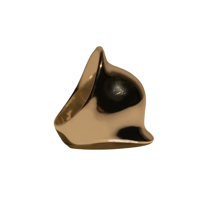 Anillo Carson, foto 8