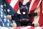 K-9 Mattis Knottie Plush Dog Toy, Large, photo 6