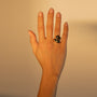 Anillo Gender Bender, foto 4