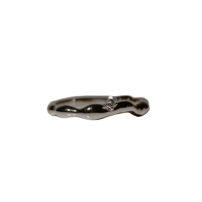 Pamela Ring, photo 3