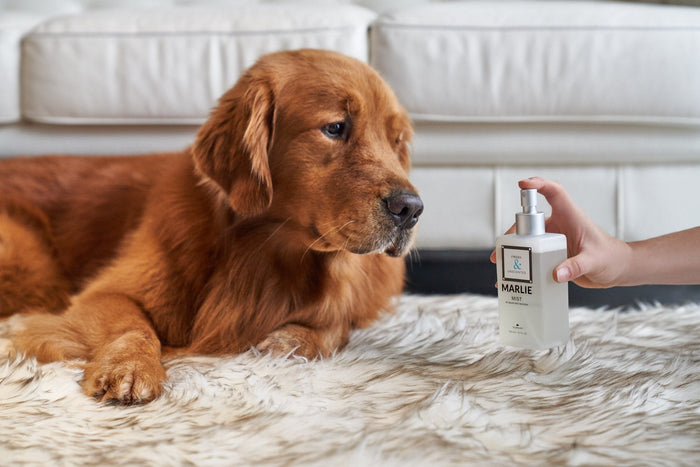Spray neutralizador de olores para mascotas Marlie Mist, 6.7 fl oz, foto 11