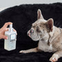 Spray neutralizador de olores para mascotas Marlie Mist, 6.7 fl oz, foto 9