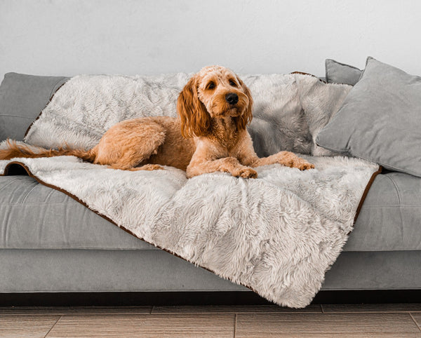 PupProtector Summer Short Fur Waterproof Throw Blanket, Grey, photo 2
