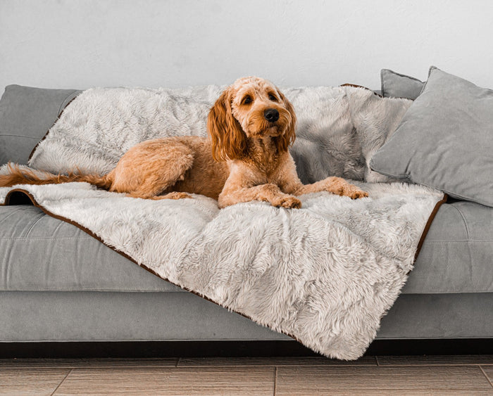 PupProtector Summer Short Fur Waterproof Throw Blanket, Grey, photo 2