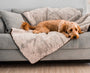 PupProtector Summer Short Fur Waterproof Throw Blanket, Grey, photo 6