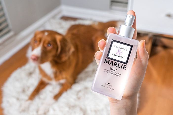 Spray neutralizador de olores para mascotas Marlie Mist, 6.7 fl oz, foto 2
