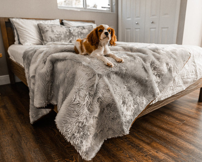 PupProtector Summer Short Fur Waterproof Throw Blanket, Grey, photo 3
