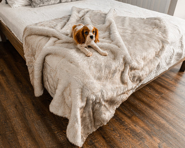 PupProtector Summer Short Fur Waterproof Throw Blanket, White with Brown Accents, photo 2