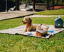 Manta impermeable PupProtector Summer de pelo corto, blanco con detalles marrones, foto 5