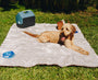 PupProtector Summer Short Fur Waterproof Throw Blanket, Grey, photo 4
