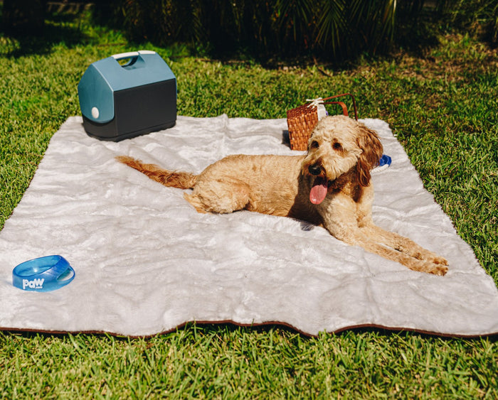 PupProtector Summer Short Fur Waterproof Throw Blanket, Grey, photo 4