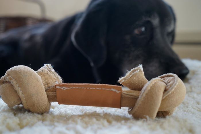 Huggle-Hide, huesos de piel natural para perro, paquete de 3, foto 5