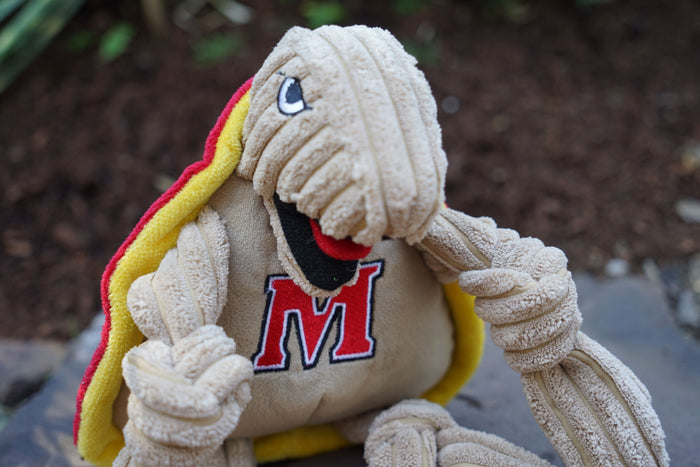 NCAA University of Maryland, Testudo the Terrapin Knottie, juguete de peluche para perro, foto 6