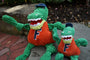 NCAA University of Florida, Albert Gator Knottie, juguete de peluche para perro, foto 5