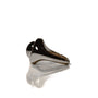 Iris Ring, photo 11
