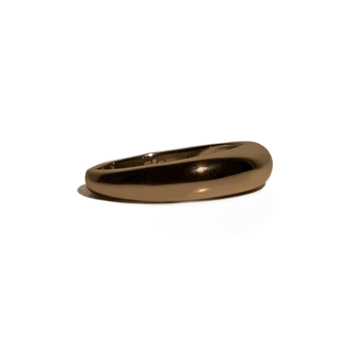 Anillo Luna, foto 3