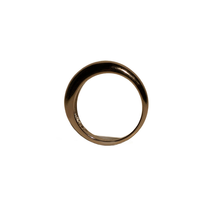 Anillo Luna, foto 6
