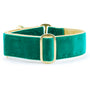 Green/Gold Holiday Velvet Buckle Martingale Dog Collar, photo 1