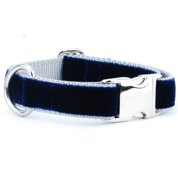 Navy/Silver Holiday Velvet Essential Martingale Dog Collar, photo 1
