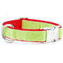 Lime Green/Red Holiday Velvet Essential Dog Collar, photo 1