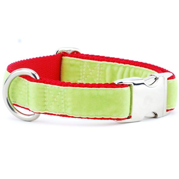 Lime Green/Red Holiday Velvet Essential Martingale Dog Collar, photo 1