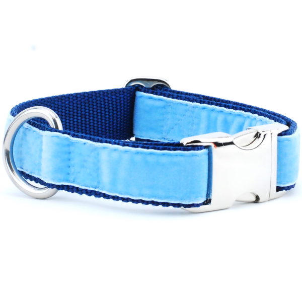 Light Blue/Navy Holiday Velvet Essential Dog Collar, photo 1