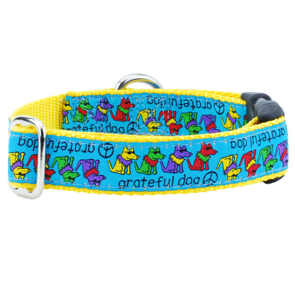 Collar martingala con hebilla para perro Grateful Dog Teddy The Dog Essential, 1 pulg. de ancho, foto 1