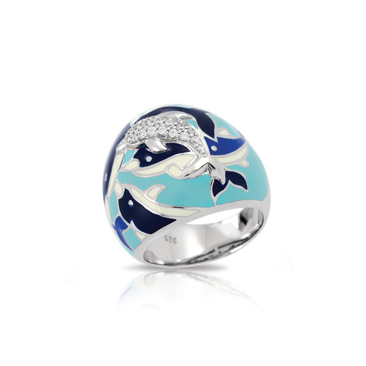 Anillo Delfino, foto 1
