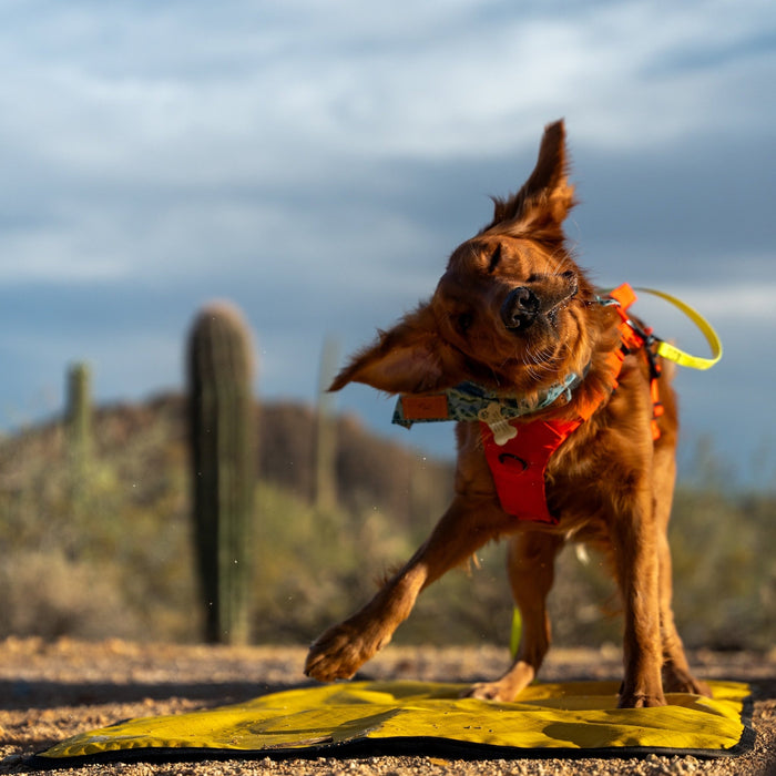 Tapete de descanso antideslizante para perro con base de agarre, foto 7