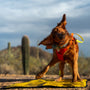 Ultralight Portable Dog Settle Mat, photo 6