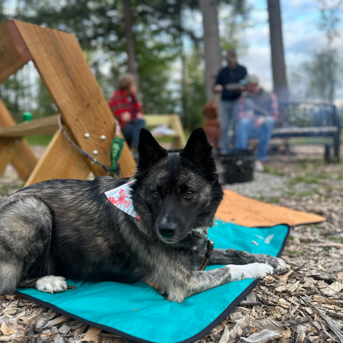 Ultralight Portable Dog Settle Mat, photo 22