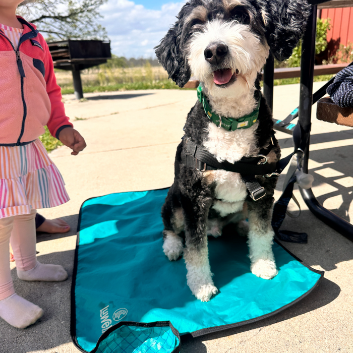 Tapete de descanso antideslizante para perro con base de agarre, foto 17