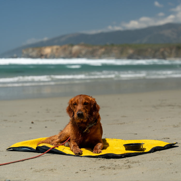 Ultralight Portable Dog Settle Mat, photo 14