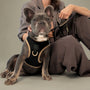 Arnés tipo chaleco SoHo para perro, Crosby, foto 3