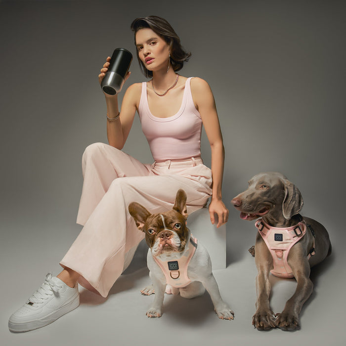 Sweetheart SoHo Step-In Dog Harness, photo 3