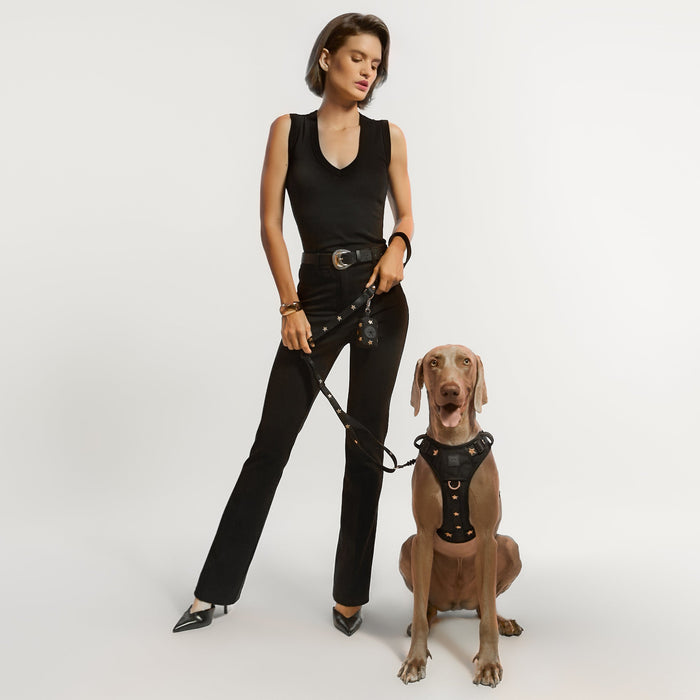 Rockstar NoMad Adjustable Dog Harness, photo 5