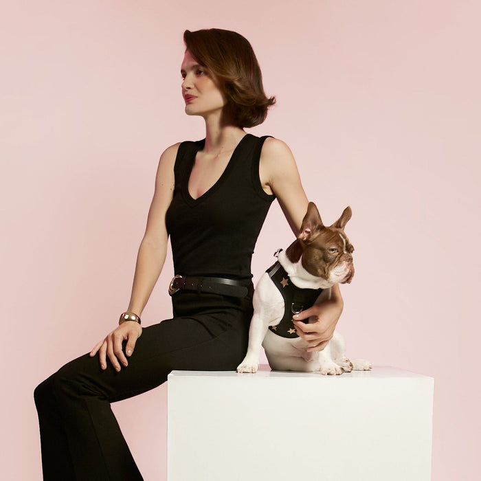 Rockstar SoHo Step-In Dog Harness, photo 2