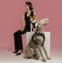 Rockstar NoMad Adjustable Dog Harness, photo 6